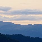 IMG_4371
