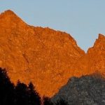 IMG_4376