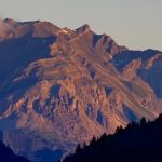 IMG_4377
