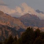 IMG_4605